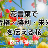 花言葉で「合格・勝利・栄光」を伝える花１０選